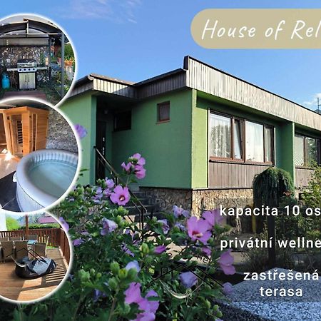 فيلا House Of Relax Recany nad Labem المظهر الخارجي الصورة